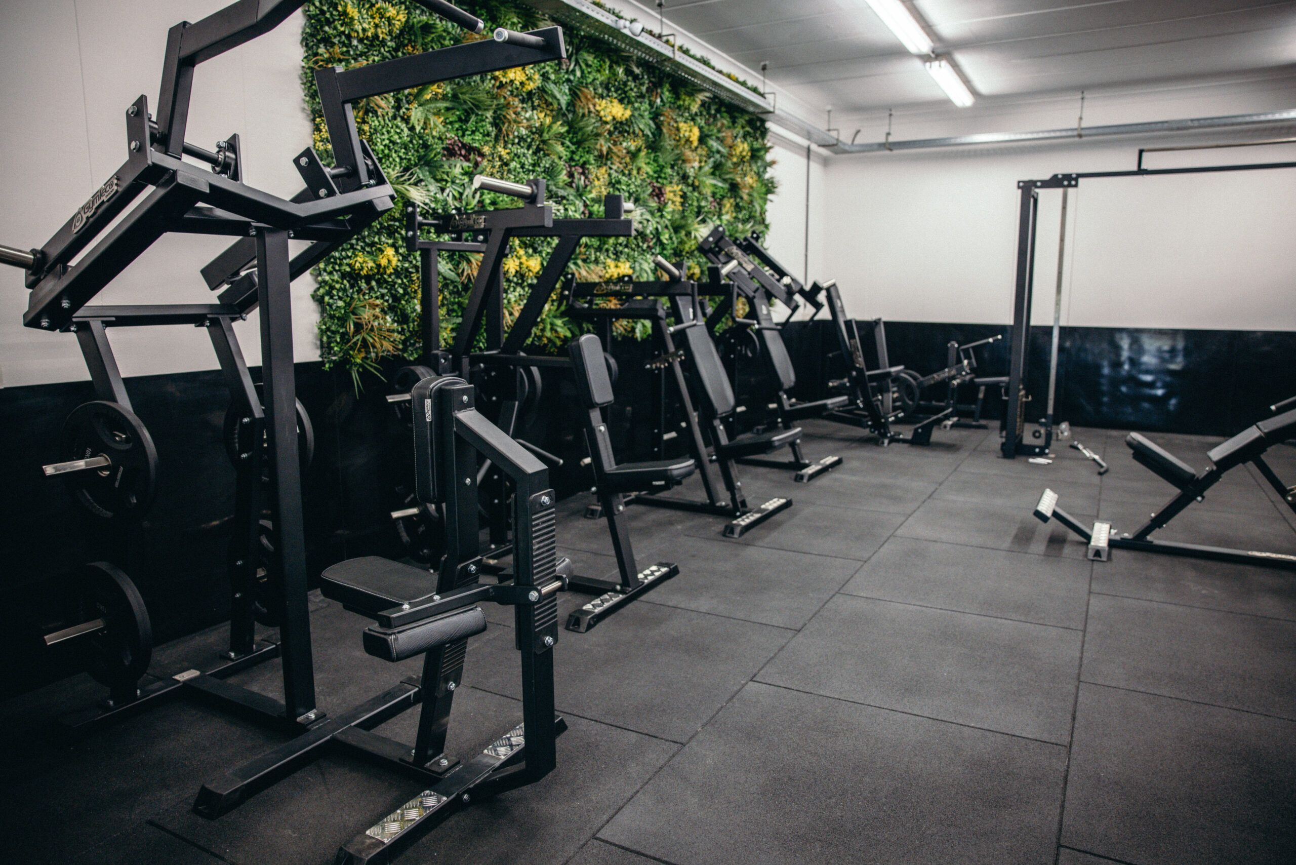 gymleco-011-iso-lateral-pulldown-studioansicht