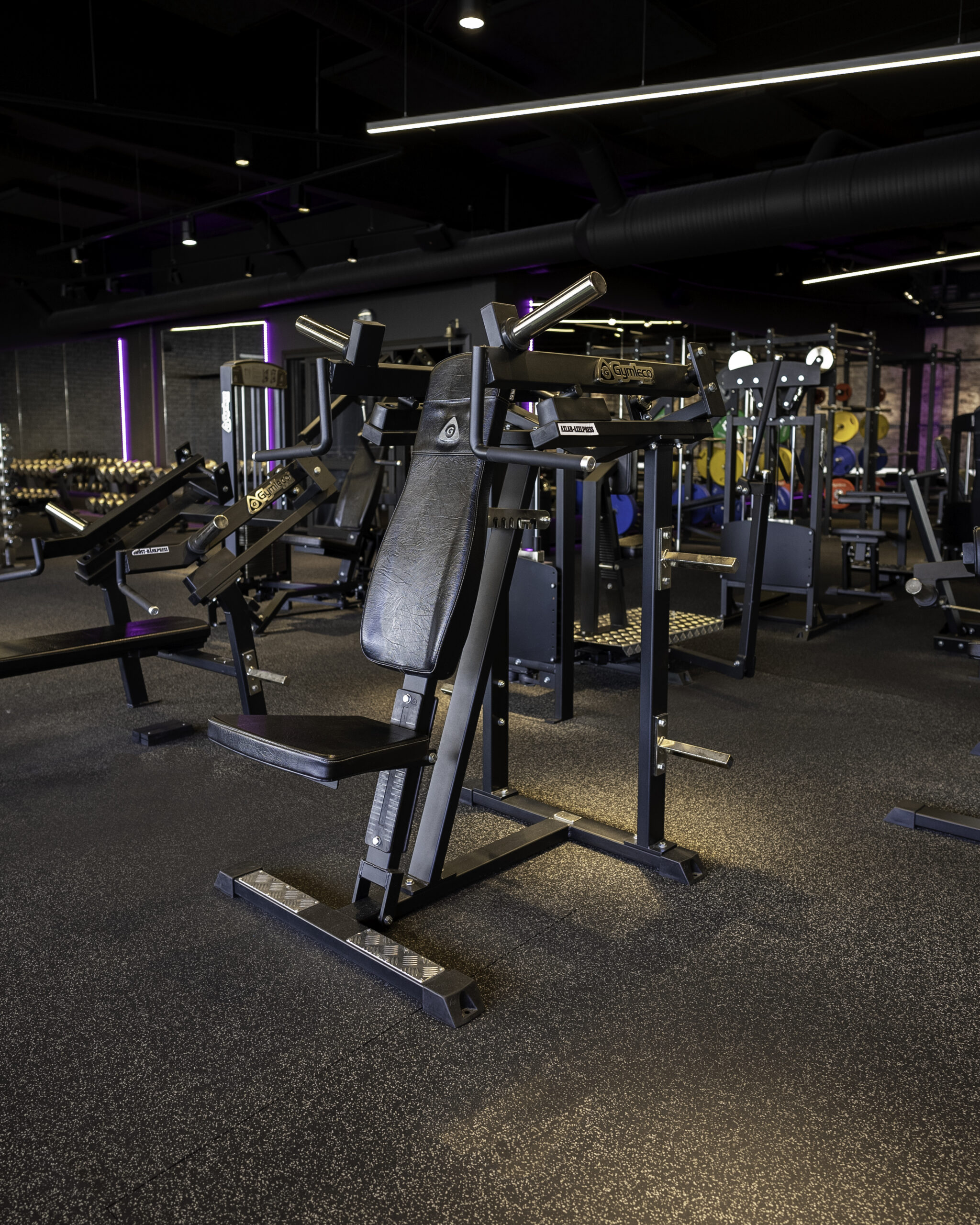 gymleco-030-shoulder-press-studioansicht